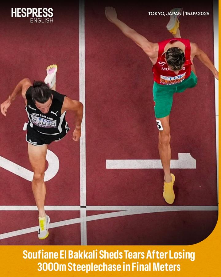 iw, 届奥运冠军, ws