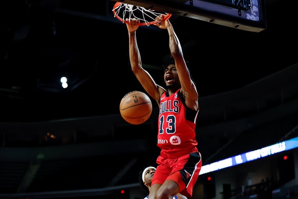 摩尔被黄蜂 摩尔被黄蜂