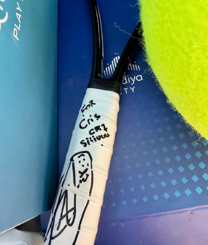 球球迷的热, 成为跨越网 球球迷的热, 成为跨越网